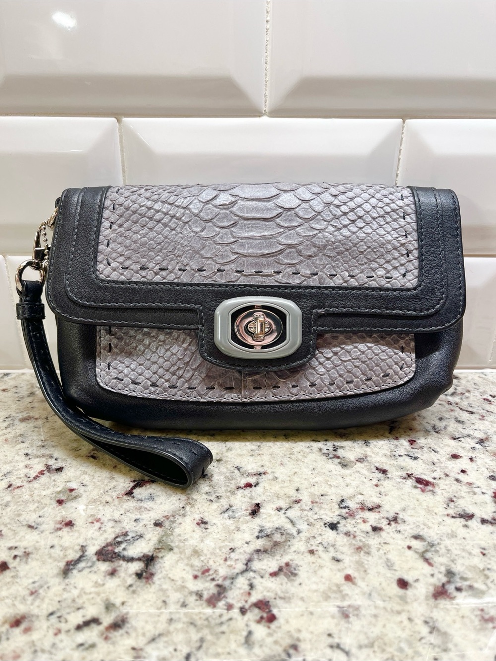 Coach Pinnacle Embossed Python Exotic Color Block Clutch/Wristlet EUC